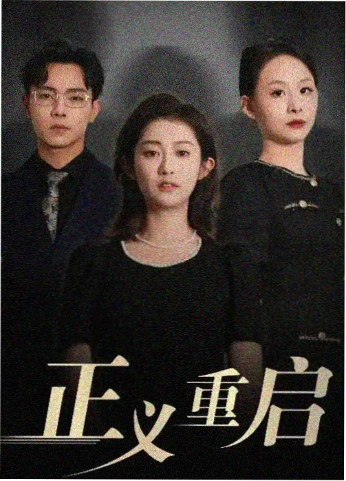 豆沙影视商战剧陈年账簿海报